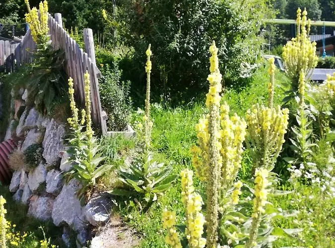 Ferienwohnung Mayrhofer Leogang