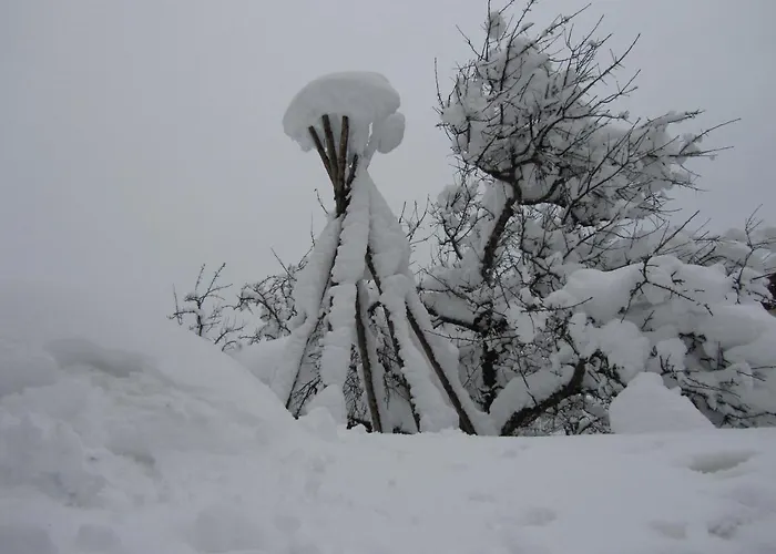 Ferienwohnung Mayrhofer Lejlighed *